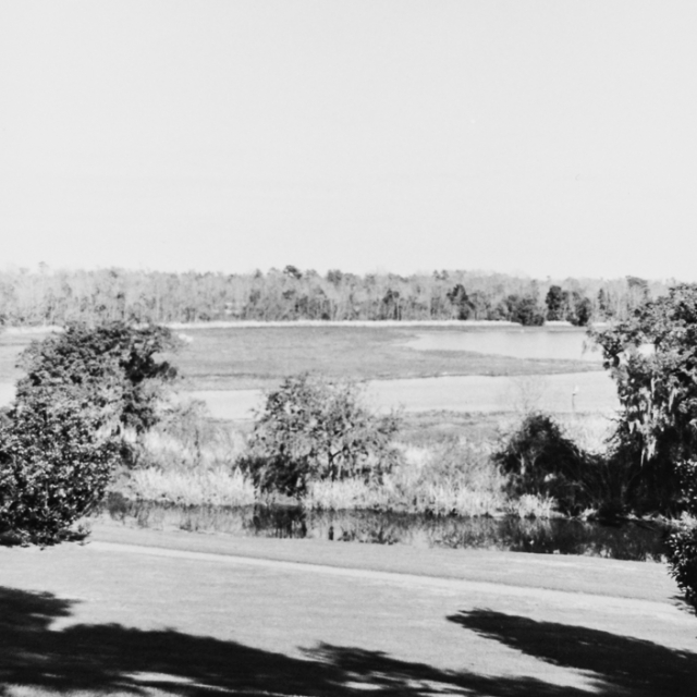 Rice Fields at Mulberry – Courtesy of the S.C. Dept. of Archives and History