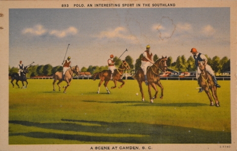 Polo was an important sport played in Camden, S.C. – Courtesy of the Camden A&M