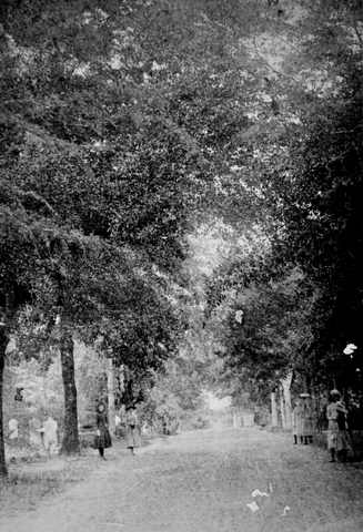 Early view of Quaker Cemetery – Courtesy of the Camden Archives and Museum, 2013