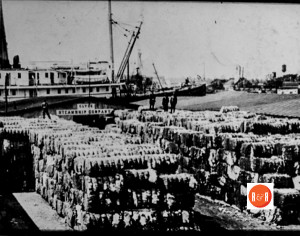 Image of the Charleston Battery taken in ca. 1960 - photographer Neilson. Courtesy of the FCHS. 