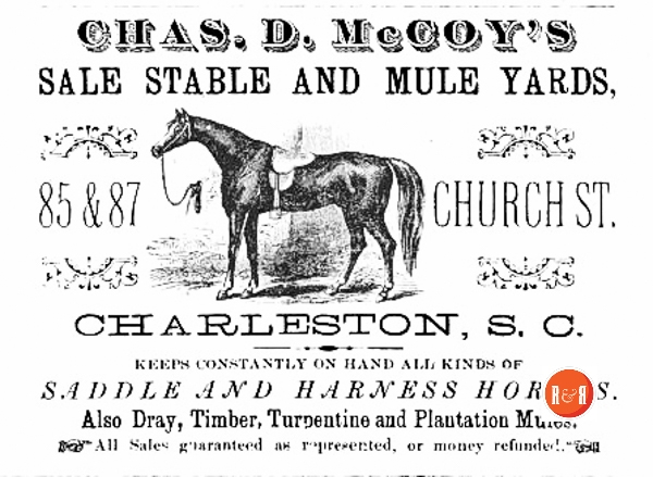 Charles D. McCoy advertized that he ran a stable at #85-87 Church Street. Sholes’ Directory of the City of Charleston – 1882