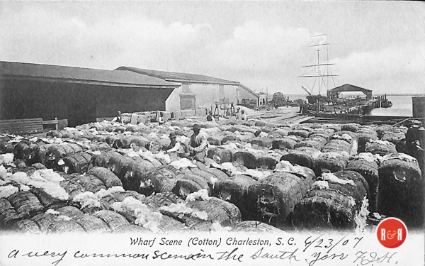 Postcard image of cotton bales ready for shipment.  Courtesy of the AFLLC Collection - 2017