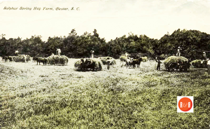 Early 20th century postcard taken at unidentified location in Chester County, S.C. The McCandless farm was one of the very prosperous sites of agricultural development and would have also looked similar to this image. Courtesy of the Davie Beard Collection - 2016