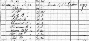 Rev. James H. Saye - 1860 Census Chester, SC The census data shows clearly that Rev. Saye's family was financially secure.