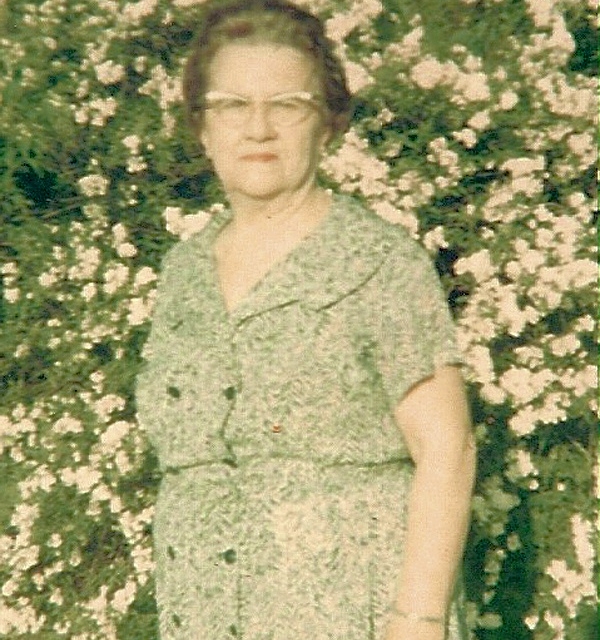 Sarah Wylie, the widow of Mr. Joe Wylie, from whom the owner purchased Cedarleaf.