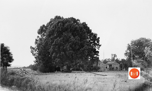 Image of the early Gaston Farm, “perhaps” unidentified name and owner. Courtesy of the Chester Co Library / Houses Group (No documentation.)