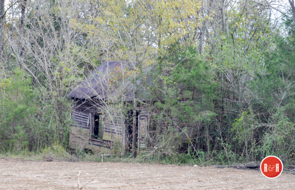Abandoned tenant cabin along Highway #72 at Cedar Grove Road.  R&R image 2018