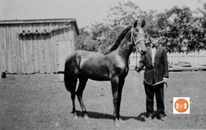Mr. James Beaty of Winnsboro, S.C. married the wealthy, Alice Cherry of Rock Hill and relocated there to raise his family. Pictures are images of family visits to Winnsboro as well as one of his prized horses. For decades the Cherry and Beaty families raised beautiful Saddlebred horses. Courtesy of the Van Center Collection