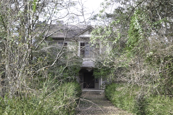 Image of the overgrown property in 2013.