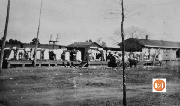 Note cotton being shipped on the platform next to the depot. Van Center Collection