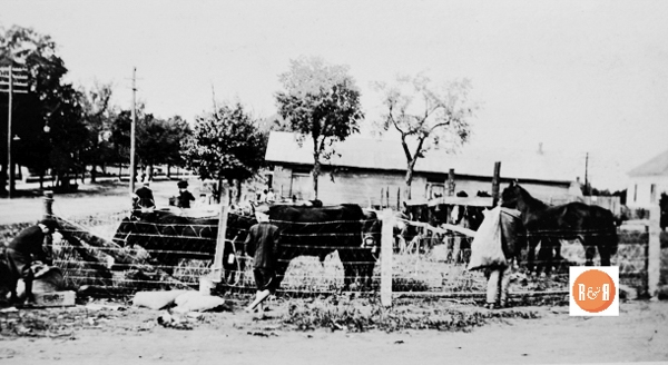 Cattle yard, location unknown. [Van Center Collection]