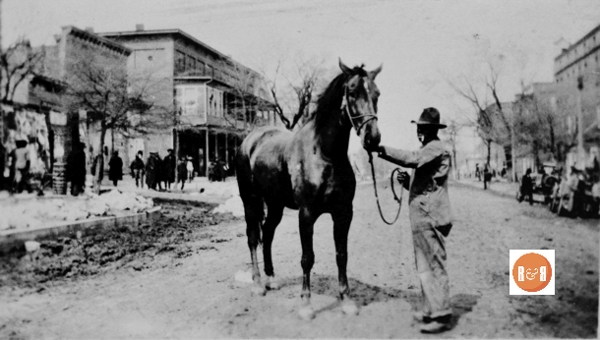 Livestock was commonly bought and sold on South Congress Street.  This photograph was taken with the Williford Livery in the background and in front of the Robinson’s Grocery.  Courtesy of the Van Center Collection