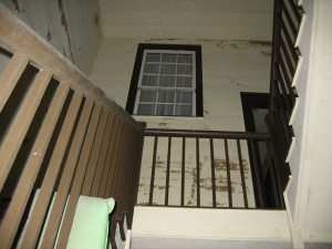Tom's Pictures 028