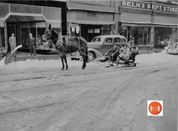 Image of a family enjoying a sled ride pulled by their mule along South Congress Street.