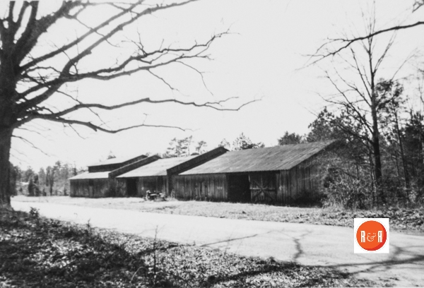 Cotton warehouses at White Oak. Courtesy of the SC Dept. of Archives and History