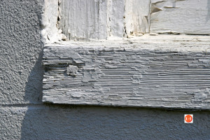 Mount Olivet Presbyterian Church