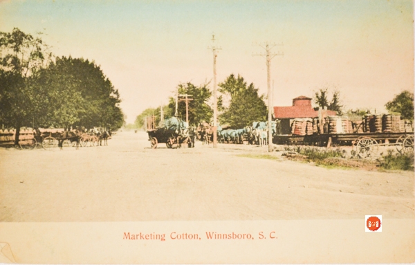 Bringing cotton to marker in Winnsboro – Courtesy of the Fairfield County Museum – 2014