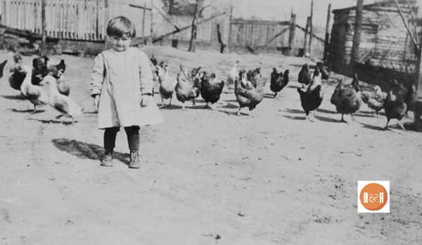 Nearly everyone who had a large yard or farm kept chickens for meat and eggs. Courtesy of the Van Center Collection