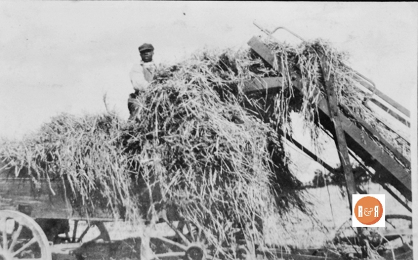 Putting up hay in rural Fairfield County, SC. Courtesy of the Van Center Collection