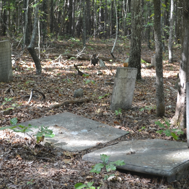 Lyle’s family graveyard about a quarter of a mile east of the house site.