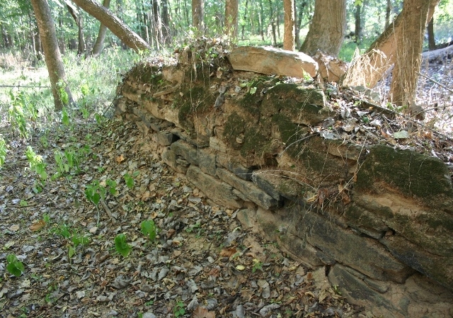 Canal wall on the Broad River. Image courtesy of Pelham Lyles – 2015