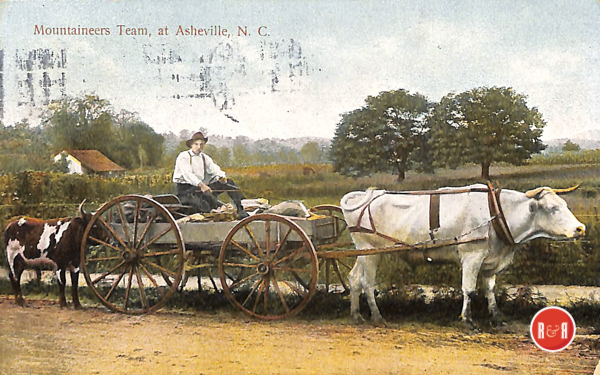 A scene from Asheville, N.C. where a farmer is bringing produce to market, ca. 1890's. The cow tethered to the rear of the wagon appears to be a Florida Cracker cow.  It was this type cow that Lowcountry cattleman were domesticating to create herds in Lowcountry S.C., Ga., and Florida.