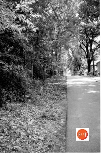 Old Georgia Road in Gray Court, S.C.