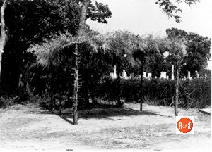 Brush arbor at the Dial Methodist Church commemorating the U.S. Bicentennial Celebration.