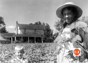 Dupree home (demolished) was the second home in the Owings community. John David Kellett picking cotton with Remel Todd about 1959.