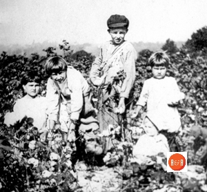 Children of W.W. and Callie Schofield picking cotton included: Almina Schofield, Eula Schofield, Howard Schofield, Belle Schofield, and Margaret Schofield.