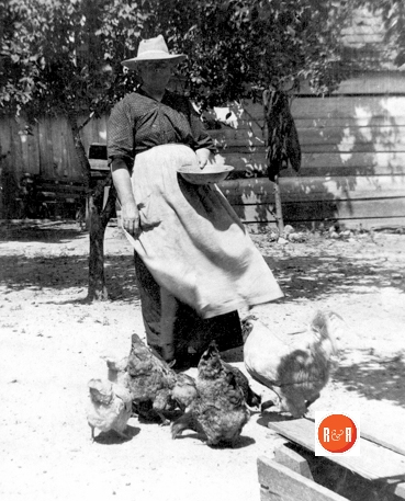 Mrs. Mattie Curry feeding the chickens in circa 1900.