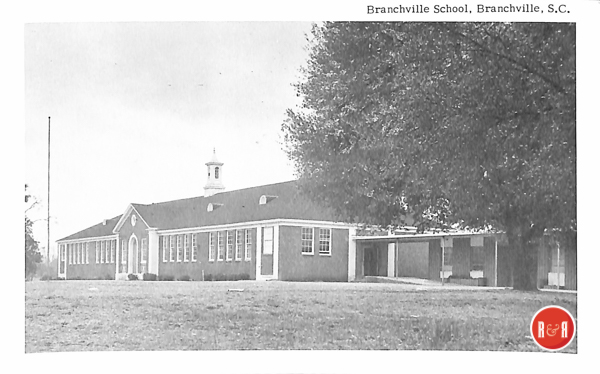 Postcard image of the Branchville School.  Courtesy of the AFLLC Collection - 2017