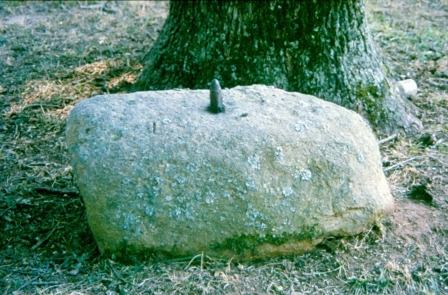 A large rock in the side yard of Hightower perhaps used as the base for their cotton gin or other machinery.