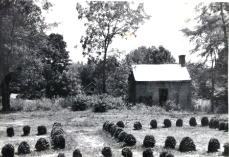 View of the slave cabin in 1978 which was located at that time on the Mendenhall property.
