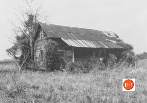 Tenant house at the location of the Chappell’s Gin – Courtesy of the S.C. Dept. of Archives and History