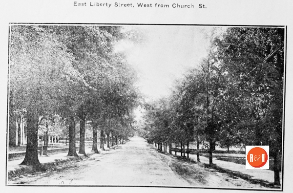 Beautiful avenue of trees once lining East Liberty Street, looking east toward the Hart home.