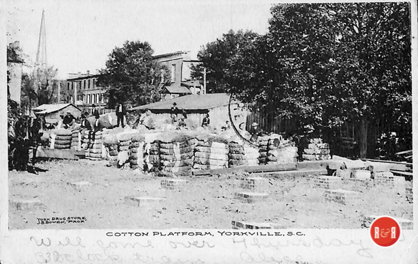 Postcard view of Latta's cotton yard. Courtesy of the AFLLC Collection - 2017