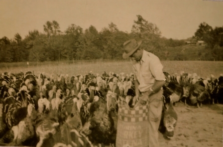 Mr. Frank Duncan with his turkeys in 1948