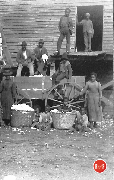 Ca. 1890s view of cotton being ginned in York County, S.C. Courtesy of the AFLLC Collection - 2017