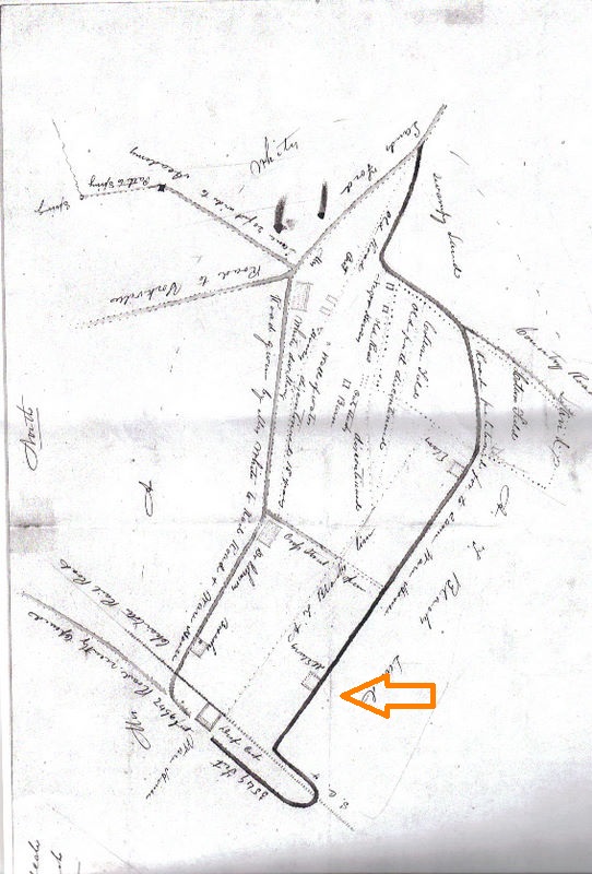 MAP OF J. N. McEWEE'S STORE ON MAIN STREET