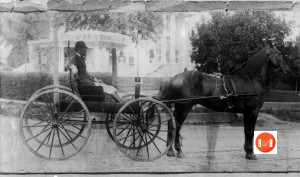 James Beaty of Winnsboro and Rock Hill driving his buggy down Oakland Ave. In the rear is the Whitner house. Courtesy of the Baily Collection