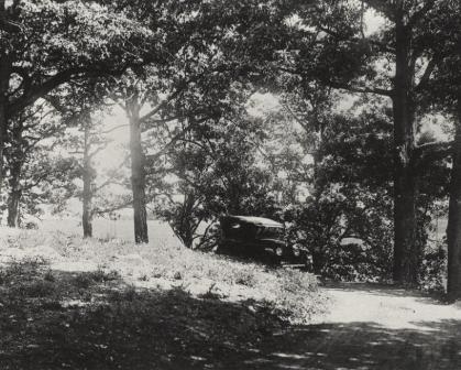 The driveway of Mt. Gallant in the 1920’s.