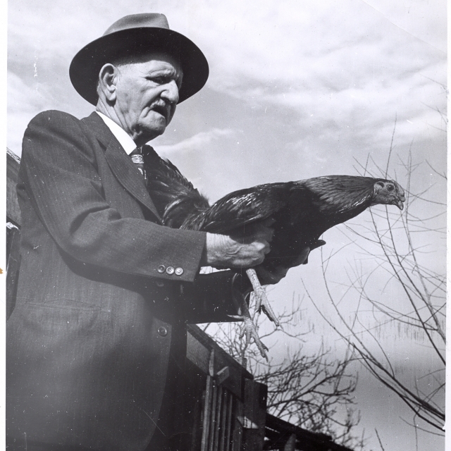 Capt. McKewn Albergotti in Rock Hill, S.C. and Blacksburg, S.C.  Mr. Albergotti, besides an official of the railroad, raised fighting chickens while living in Rock Hill.  His grandson, Dr. Albergotti of Charlotte, NC, informed R&R -  his grandfather, 