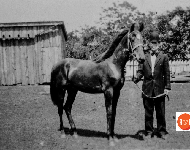 James Beaty was a horseman from an early age who raised American Saddlebred horses – image from Winnsboro, S.C. He later married in Rock Hill and moved there to be close to his wealthy in laws.