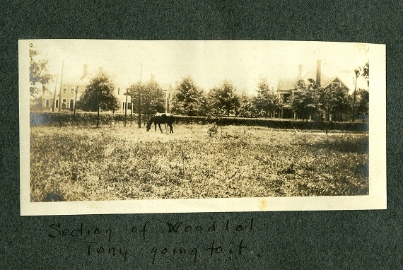 Image of the corner of White Street taken from the edge of the White Family property . Courtesy of Historic Rock Hill – Copyright Applies