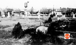 Early view of Laurelwood Cemetery while homes remained on West White Street.