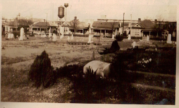 Early view of Laurelwood Cemetery in the vicinity of the Cobb burial site.