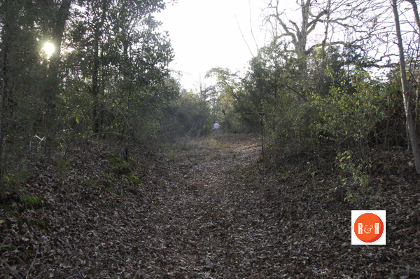 Section of the historic cross roads near Red River. Reportedly, the site of the signing of the 1840 Catawba Treaty.