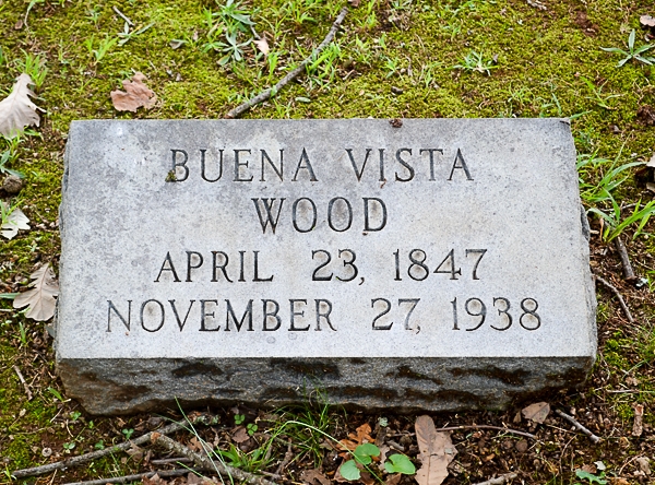 Buena Vista Wood was also a member of the family.  Buena Vista Wood was Postmistress of Rock Hill from 1873-1892.