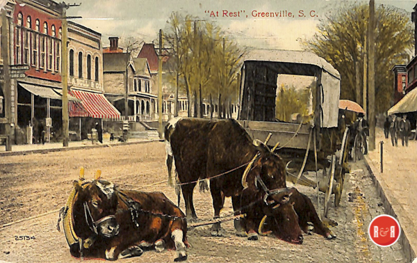Carryall wagon pictured in Greenville, S.C. Courtesy of the AFLLC Collection, 2017